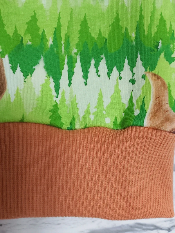 Dziecięca bluza Dinozaury rozm 98 - obrazek 4