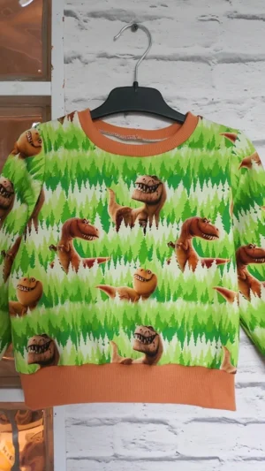 Dziecięca bluza Dinozaury rozm 98