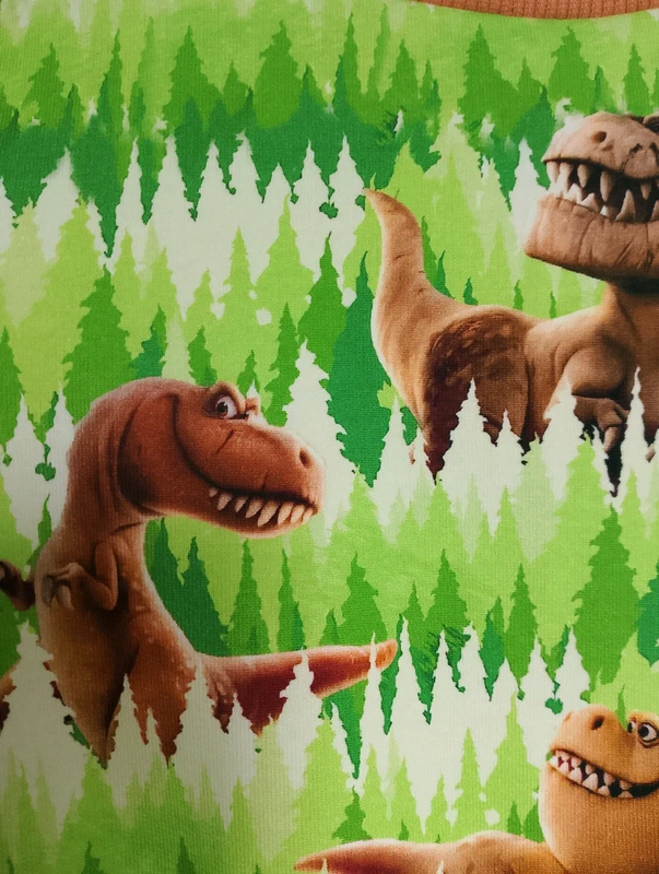 Dziecięca bluza Dinozaury rozm 98 - obrazek 6
