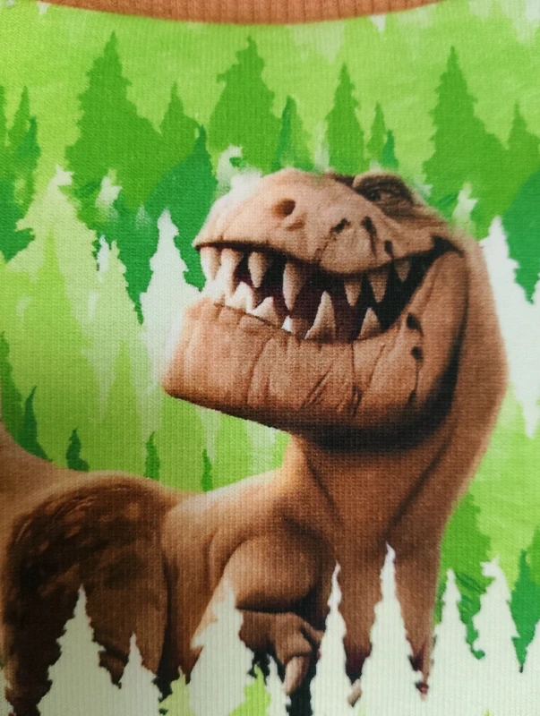 Dziecięca bluza Dinozaury rozm 98 - obrazek 7