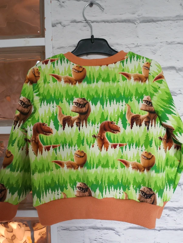 Dziecięca bluza Dinozaury rozm 98 - obrazek 9