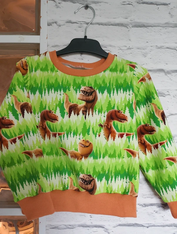 Dziecięca bluza Dinozaury rozm 98 - obrazek 10