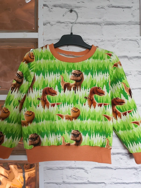 Dziecięca bluza Dinozaury rozm 98