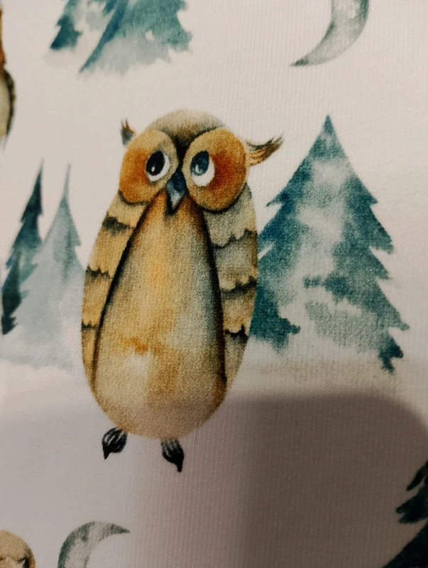 Dziecięca bluza sowy rozm 110 - obrazek 5